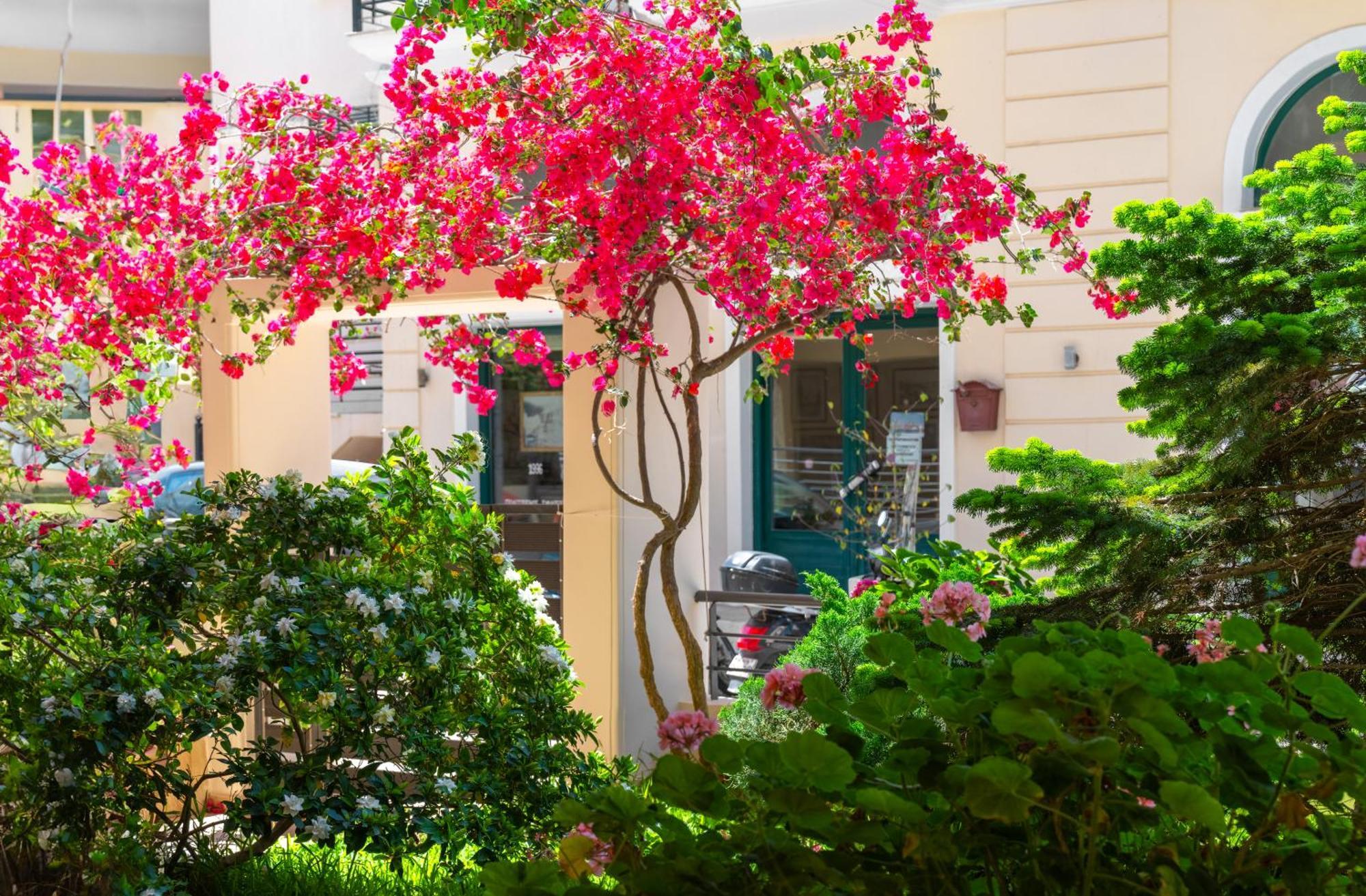 Myrto1 Apartment Preveza Eksteriør bilde